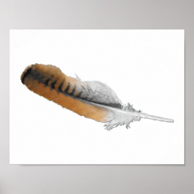 Póster pluma de halcón de cola roja (Frente)
