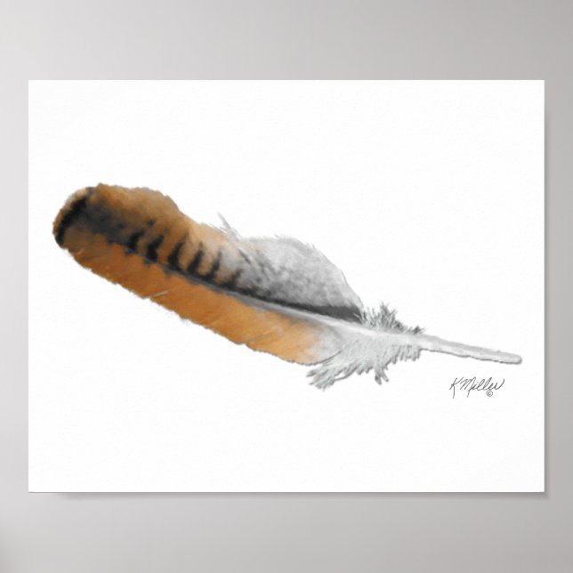 Póster pluma de halcón de cola roja (Frente)