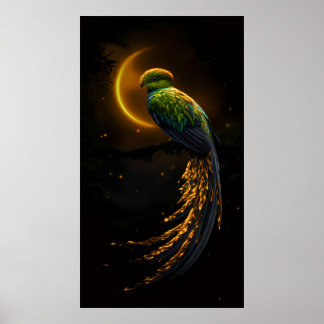 Póster Pluma de la Luz Nocturna
