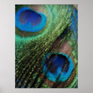 Póster Pluma de pavo real azul con efecto de vidrio manch