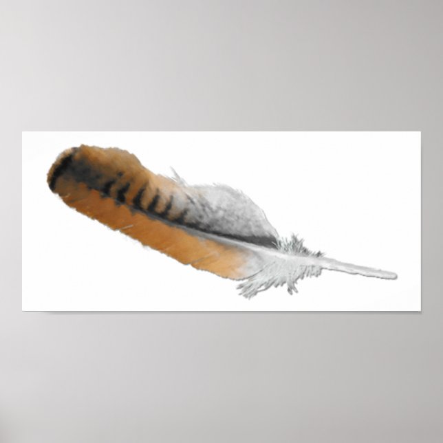 Póster Pluma hawaiana de cola roja (Frente)