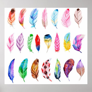 Póster Plumas de acuarela: Hermosa Colección Vintage.