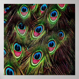Póster plumas de pavo real verde verde azulado de art dec