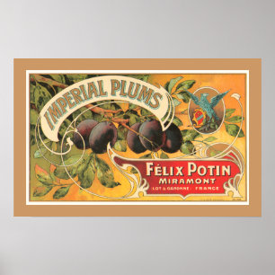 Póster Plumas imperiales
