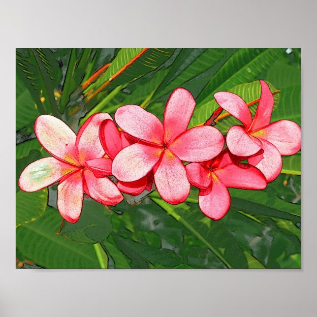 Póster Plumeria (Frente)