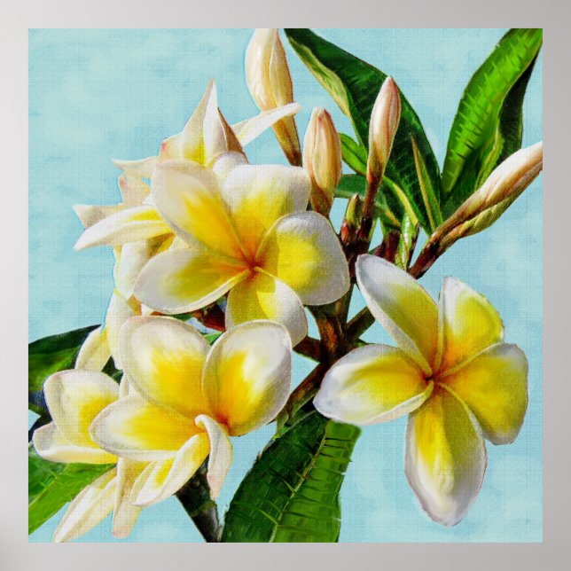 Póster plumeria amarilla (Frente)