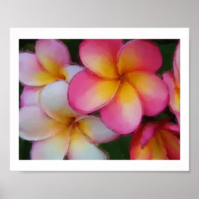 Póster Plumeria Frangipani Flores Sketch acuarela (Frente)