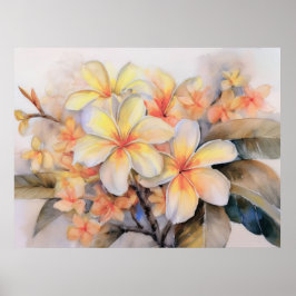 Póster Plumeria y Poster de Shell Ginger