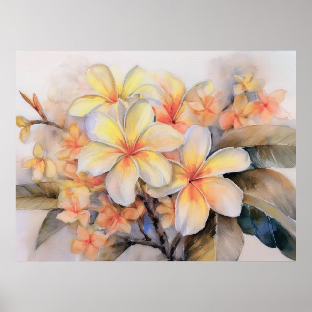 Póster Plumeria y Poster de Shell Ginger (Frente)