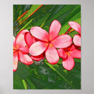 Póster Plumerias