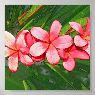 Póster Plumerias