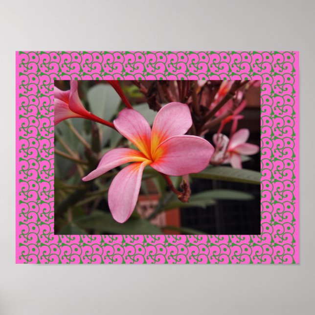 Póster Plumerias de flores de frangipani de Hawái (Frente)