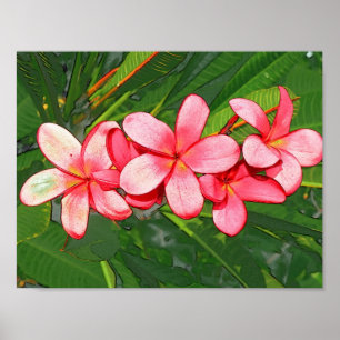 Póster Plumerias pink 