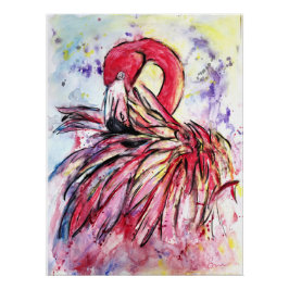 Póster Plumes au rose