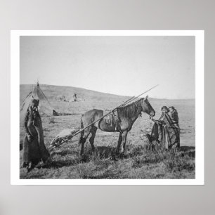 Póster Población del Cree del nativo americano de Canadá