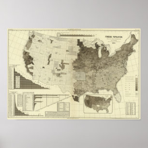 Póster Población extranjera por condados