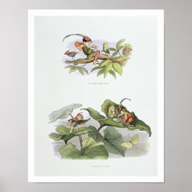 Póster Pobre Birdie se burló, y la corte de justicia (Frente)