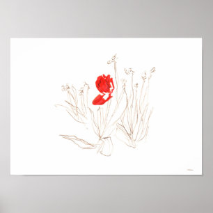 Póster Pobre tulipán