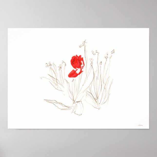 Póster Pobre tulipán (Frente)