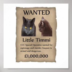 Póster Poco Timmi quiso el poster