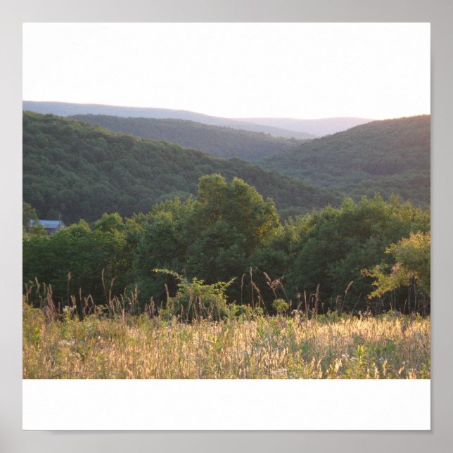 Póster Poconos (Frente)