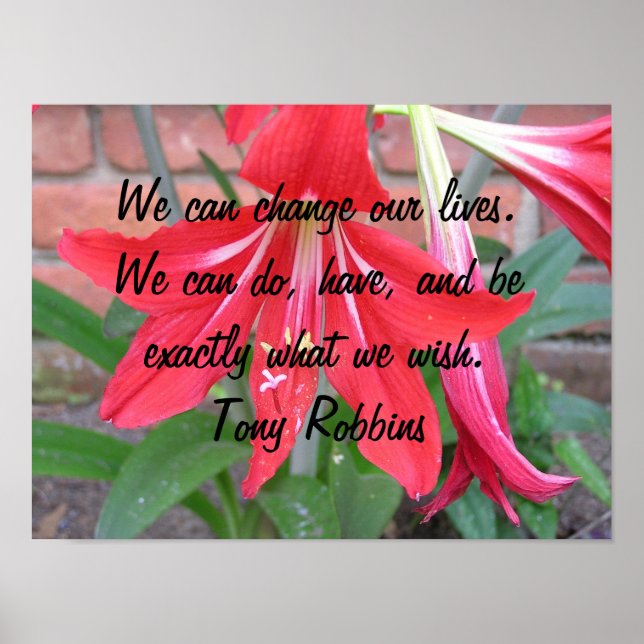 Póster Podemos cambiar nuestras vidas. (Frente)