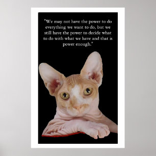 Póster "Poder de decidir "