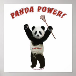 Póster Poder de la panda de LaCrosse