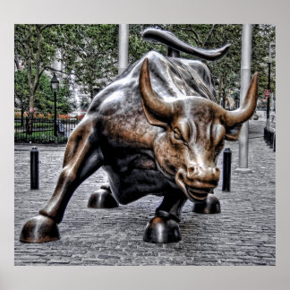 Póster Poder del toro