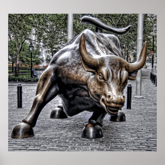 Póster Poder del toro (Frente)