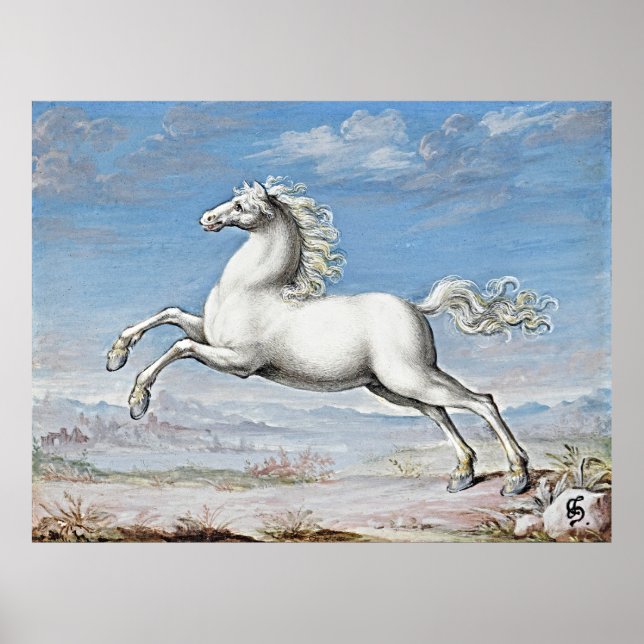 Póster Poder elegante: Caballo blanco - Pintura retro (Frente)