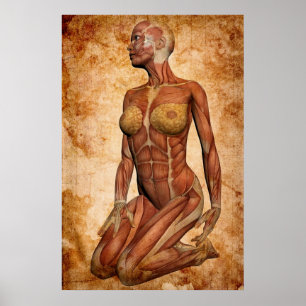 PÓSTER PODER FEMENINO