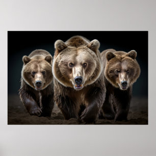 Póster Poder feroz de retrato animal salvaje de oso pardo