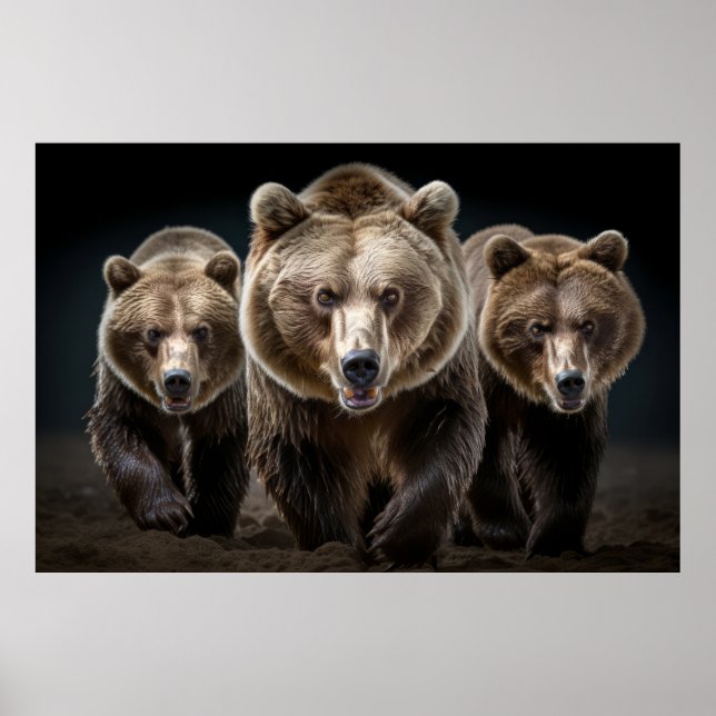Póster Poder feroz de retrato animal salvaje de oso pardo (Frente)