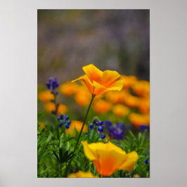 Póster poder floral