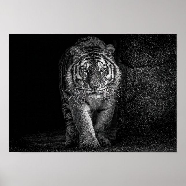 Póster Poder y Presencia - Fauna Silvestre Tigre Monocrom (Frente)