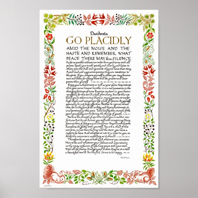 Póster Poema de Desiderata de Max Ehrmann Wildflowers (Frente)