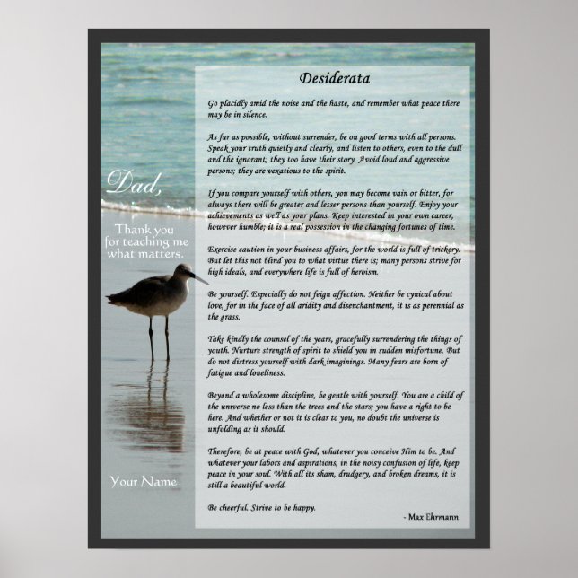 Póster Poema de Desiderata - Poster de la gaviota en la e (Frente)