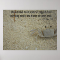 Poema de las garrapatas ragadas