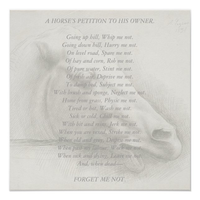 Póster Poema de retrato de caballo: petición al viejo pro (Anverso)