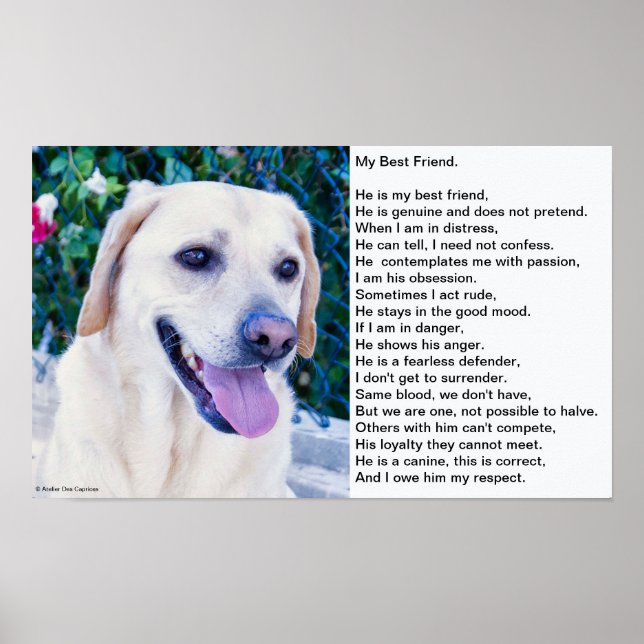 Póster Poema del perro (Frente)