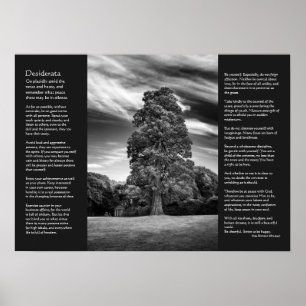 Póster Poema Desiderata - Árbol y aviliones