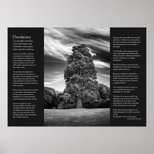 Póster Poema Desiderata - Árbol y aviliones (Frente)