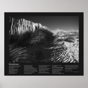 Póster Poema Desiderata - Esgrima En Las Dunas, Bella Art