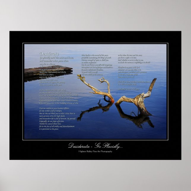 Póster Poema Desiderata - Estilo de galería de ruido y ca (Frente)