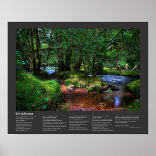 Póster Poema Desiderata - Fluye silenciosamente Por El Rí