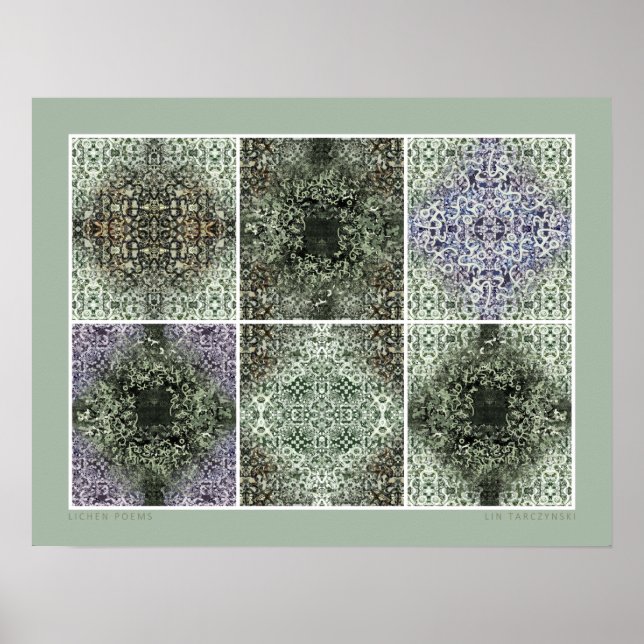 Póster Poemas de Lichen (Frente)