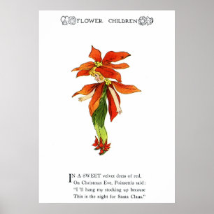 Póster Poinsettia