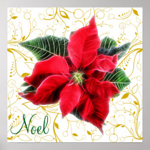 Póster Poinsettia Noel