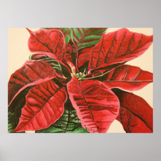 Póster "Poinsettia" por Jenny Koch